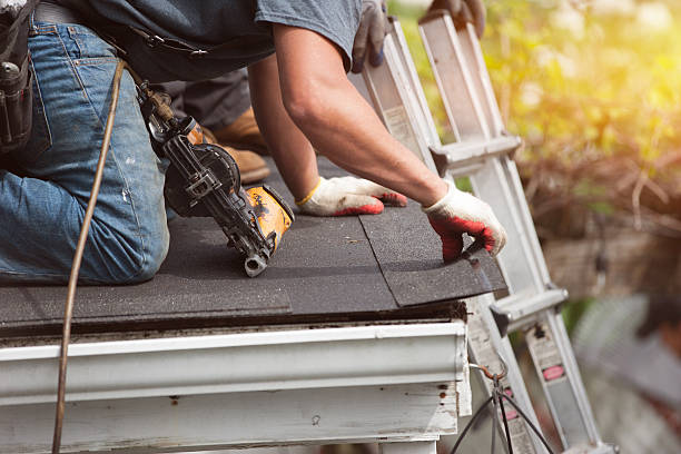 Roof Gutter Cleaning in Torrance, CA